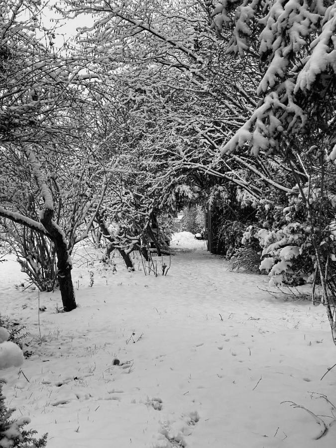 Spurensucher Quartier Usedom Town Buitenkant foto
